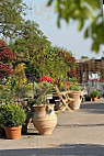 The Walled Garden Centre inside