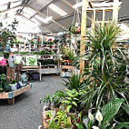 Homeleigh Garden Centre Bude outside