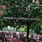 Grüner Baum inside