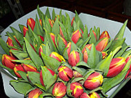 Alexand Andrzej Juszynski Comida