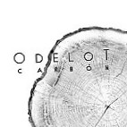 Odelot Carbon inside