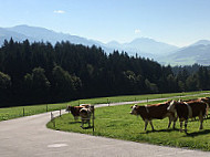 Rummlerhof food