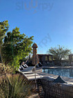 Saguaro Blossom outside