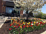 Starbucks outside