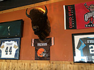 Harry Buffalo inside