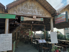 Banana Tree outside