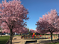 La Lonja De Boadilla outside