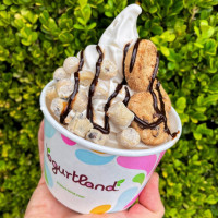 Yogurtland Garland food