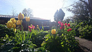 Garden Cafe At Restore food