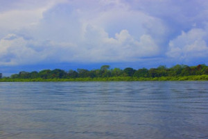 Costa Del Ucayali food