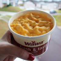 Wawa food