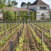 La Grand'vigne At Les Sources De Caudalie inside