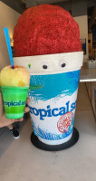 Tropical Sno food