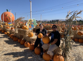 Moore Pumpkin Patch Christmas Trees food