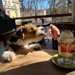 Jasminum À l'intérieur