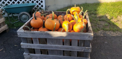 Hackett's Orchard food