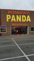 Panda food