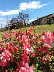 Agriturismo Farneto outside