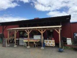 The Patio Café At The Pumpkin Patch inside