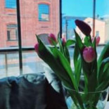 Arteria À l'intérieur