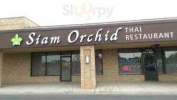 Siam Orchid Thai food