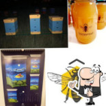 Pasieka Honeyroof Dania