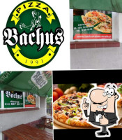 Bachus food