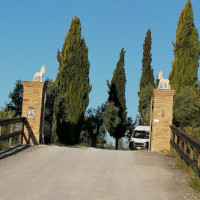 Il Podere Degli Asinelli Pizzeria Country House outside