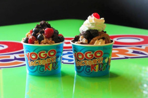 Yogo Factory food