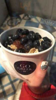 Go Greek Yogurt food