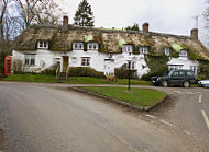 Brace Of Pheasants outside