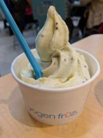 Kiwi Fruz Frozen Yogurt food