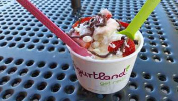 Yogurtland food