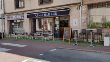 Bluebird outside