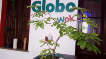 Globo Wok inside