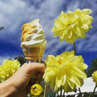 Stone Bridge Ice Cream food