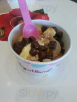 Yogurtland food