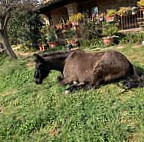 Agriturismo Campo Ruffaldo outside