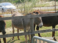 Agriturismo Le Calandre outside