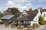 Fox Hounds outside