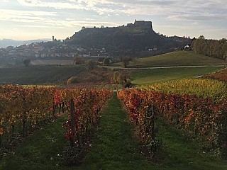 Hofbergstubn - Wippel Stefan GmbH