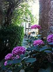 La Terrasse Romantique