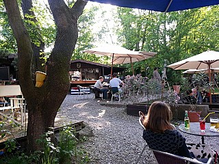 Biergarten mit Ginkobaum