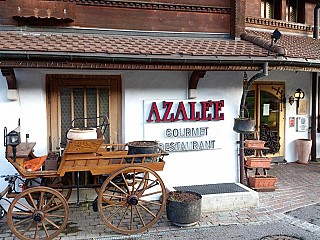 Azalee