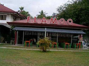 Flamoo