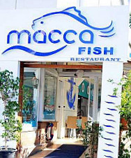 Macca Fish