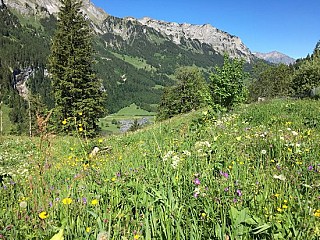 Restaurant Waldrand Pochtenalp