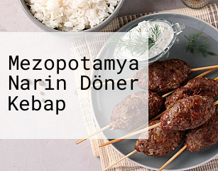 Mezopotamya Narin Döner Kebap