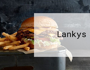 Lankys