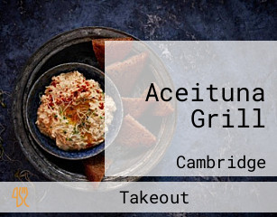 Aceituna Grill